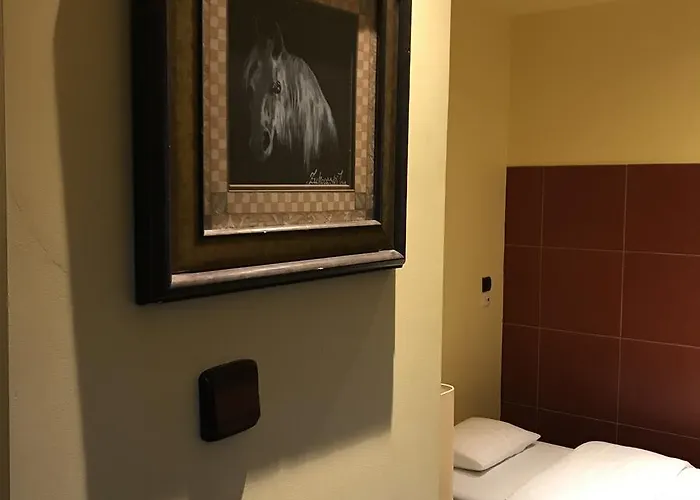 Podzamcze מלון 3*